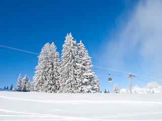 Obraz premium Winter in alps