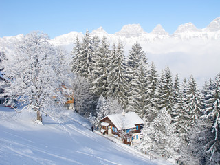 Winter in alps