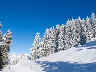 Winter in alps