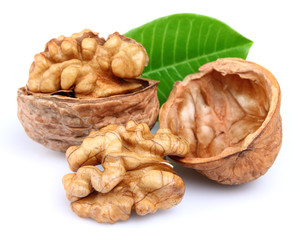 Walnuts with leaves