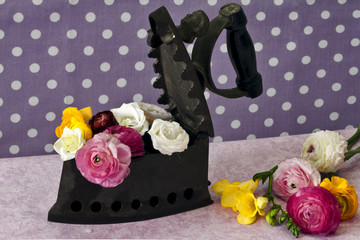 old iron stuffed with spring flowers