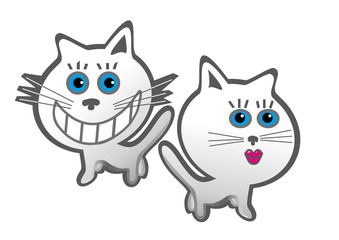 Katzen