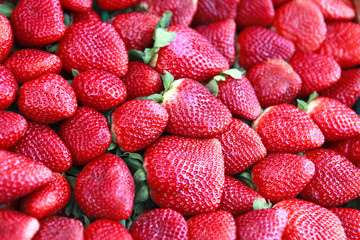 fresh strawberries © posh