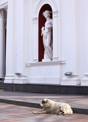 Hermes statue, The Palace of the City Council, Odessa