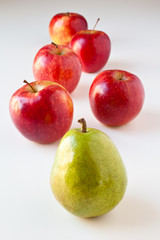 Follow the Leader - Pear and Apples