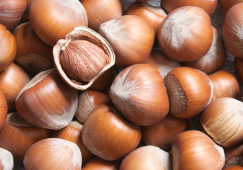 hazelnut