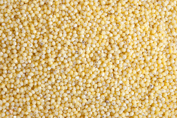 millet. background of ripe grain.