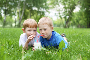 Naklejka na ściany i meble Portrait of two boys in the summer outdoors