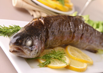 trout