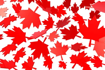 Peel and stick wallpaper Red canadian maple leafs autumn leaves