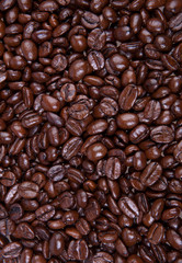 Espresso coffee beans  background