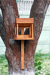 Wooden bird feeder on old tree stem