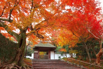 秋の安楽寺