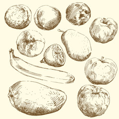 collection of fruits