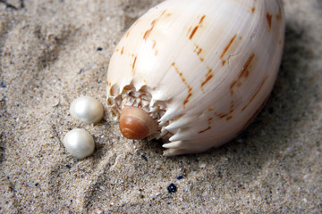 Pearls and shell