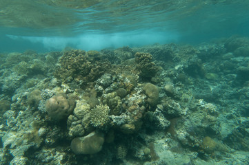 Diving