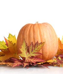 Naklejka na ściany i meble ripe pumpkin and autumn leaves isolated on white