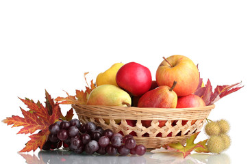 beautiful autumn harvest in basket and leaves isolated on white