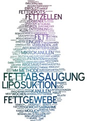 Fettabsaugung