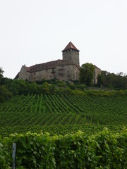 Fototapeta na wymiar Burg Lichtenberg über Weinberge