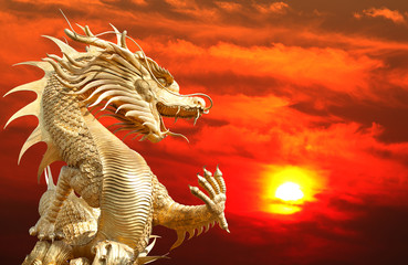 Fototapeta premium Giant golden Chinese dragon