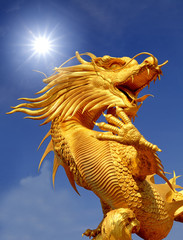 Naklejka premium Giant golden Chinese dragon