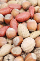 Nut background