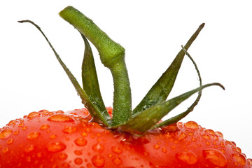 saftige Tomate mit Tropfen isoliert vor weissem Hintergrund