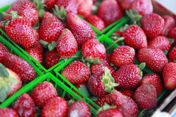 containers of strawberries