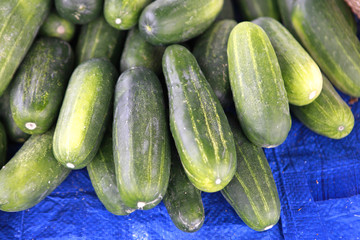 cucumbers