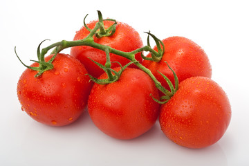 Rispe saftiger Tomaten isoliert vor weissem Hintergrund