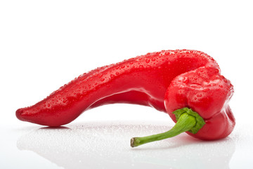 rote Paprika mit Tropfen freigestellt vor weissem Hintergrund
