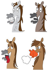 vector horse © Maciej Sobczak