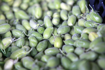 fresh chickpeas