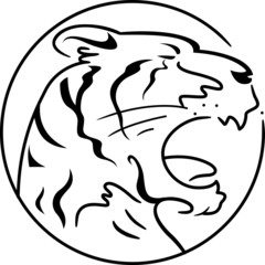 Year of the Tiger