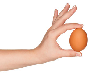 Hand with egg