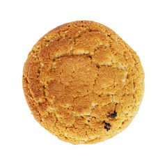 Close up delicious oatmeal cookie