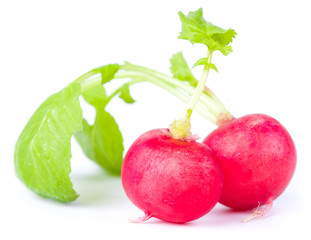 ripe radish