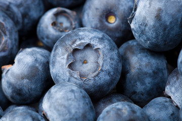 many blueberries