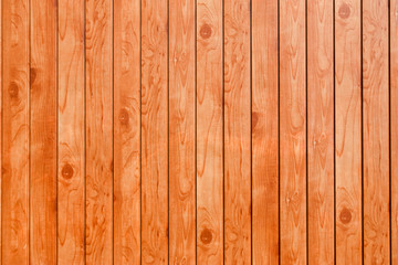 Fototapeta premium Wood Background .