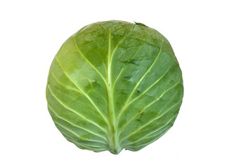 Fototapeta premium Cabbage