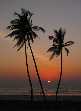"Benaulim Beach" Images – Browse 331 Stock Photos, Vectors, and Video