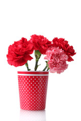Bouquet of carnations in a glass isolated on white