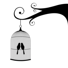 Cercles muraux Oiseaux en cages Cage à oiseaux vintage et couple d& 39 oiseaux, accroché à un arbre.