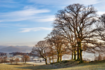 Fototapeta na wymiar Winter In The English Lake District