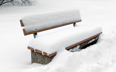 bench in winter park