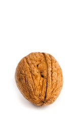 single fresh walnut