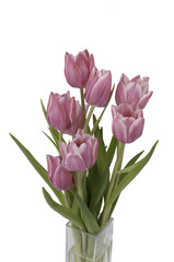 Zoom on a bunch of Tulips in a vase (top view).