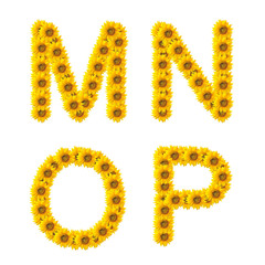 sunflower alphabet isolated on white background