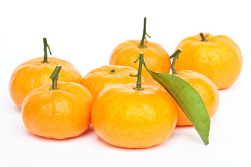 Oranges freshy